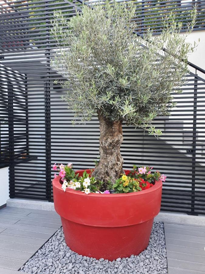 Visioni View Boutique & Breakfast - Adults Friendly *